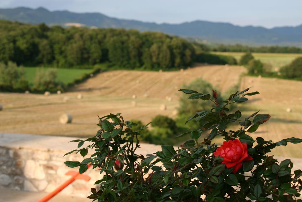 Il Nido Di Gabbiano Guest House Scarperia Bagian luar foto