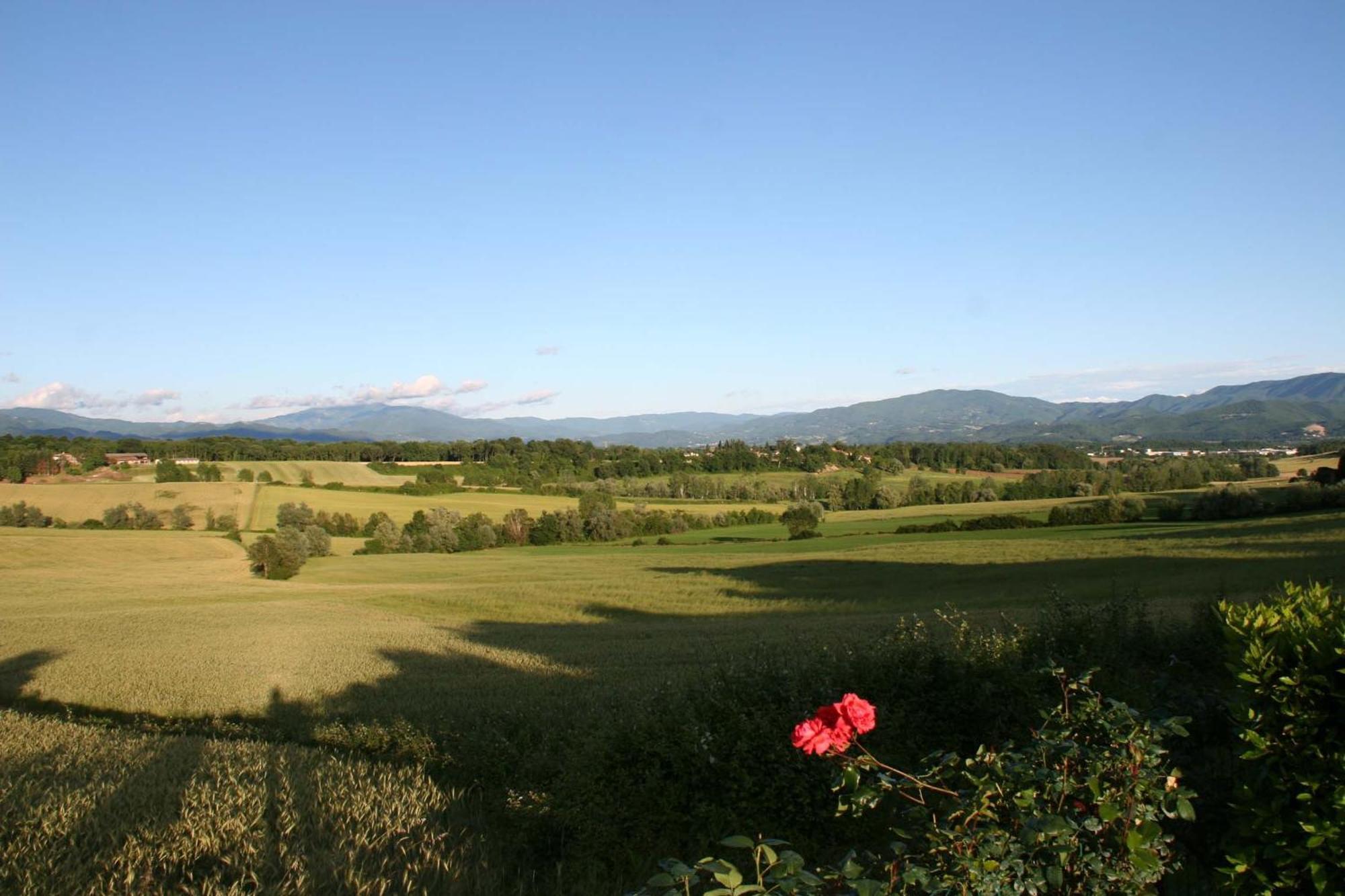 Il Nido Di Gabbiano Guest House Scarperia Bagian luar foto
