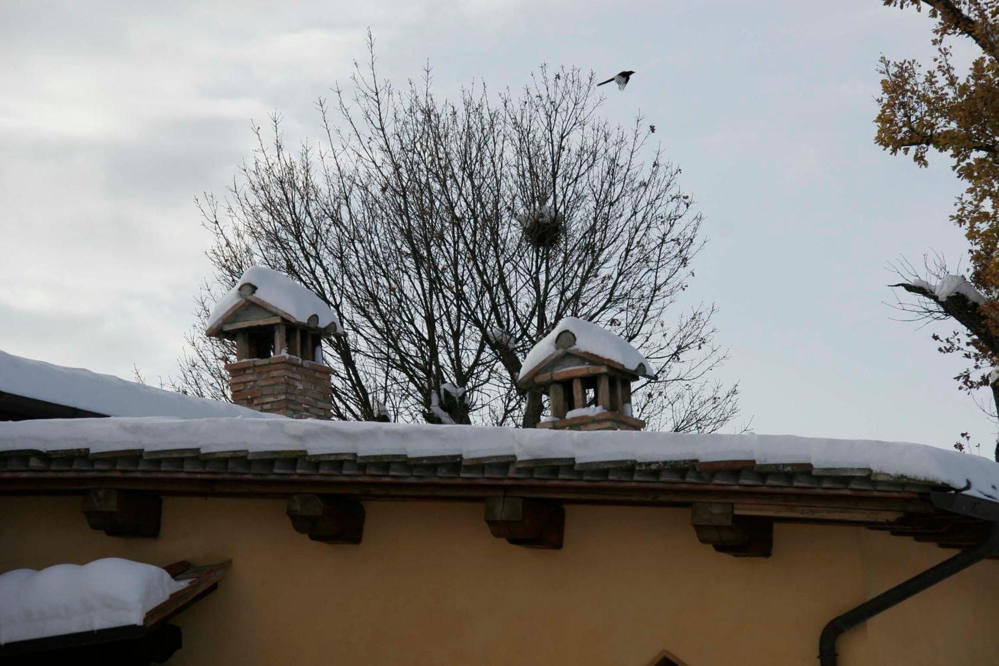 Il Nido Di Gabbiano Guest House Scarperia Bagian luar foto