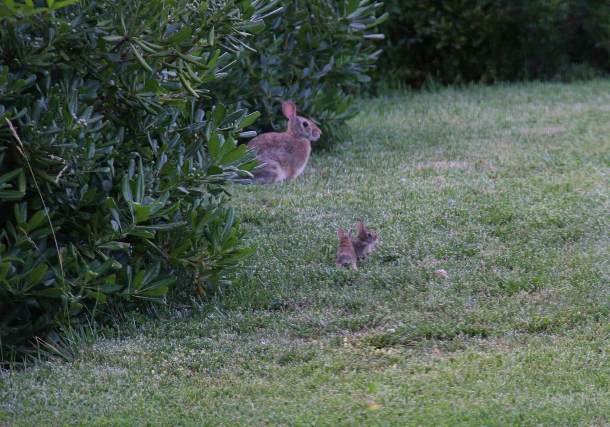 Il Nido Di Gabbiano Guest House Scarperia Bagian luar foto