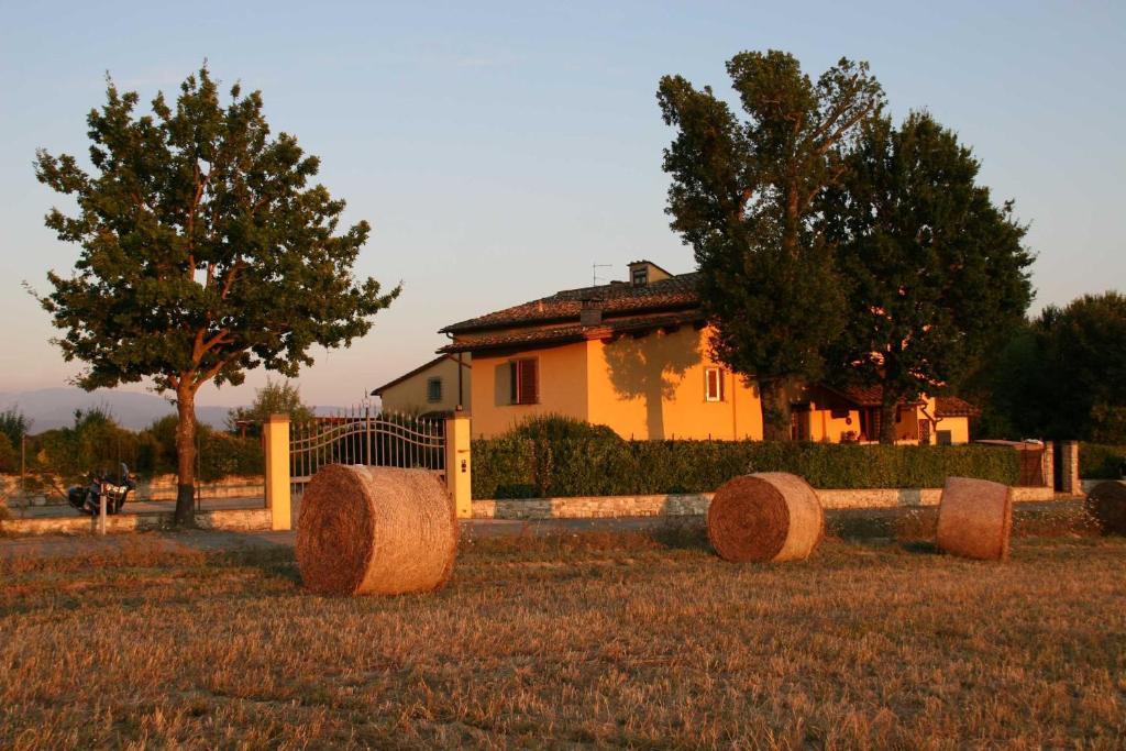 Il Nido Di Gabbiano Guest House Scarperia Bagian luar foto